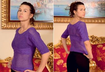 pullover 309 1