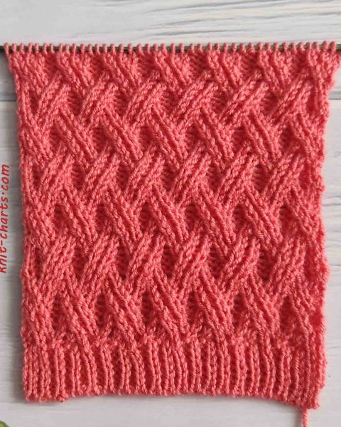 Double Wicker Knitting Stitch