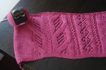 Lace Stitch Pattern 