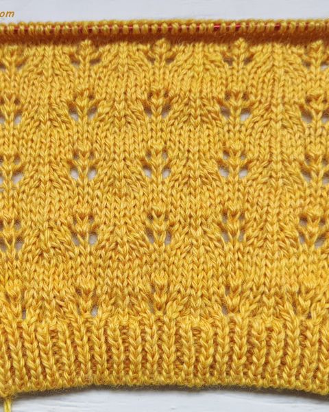 Lace Stitch Knitting Pattern