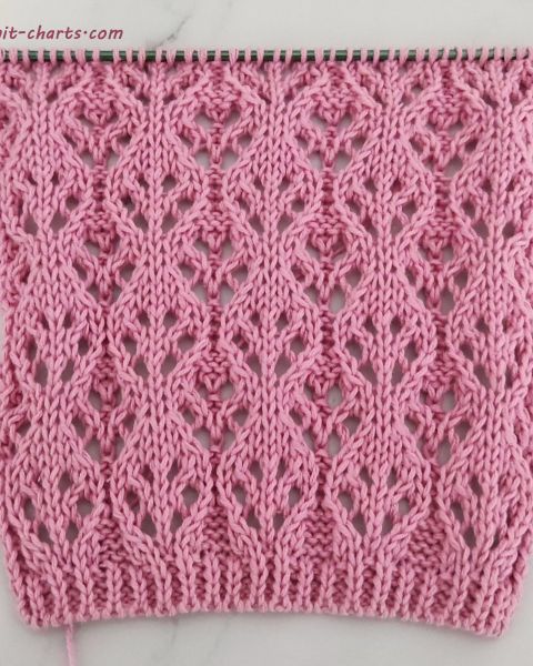 Lace Stitch Knitting Pattern