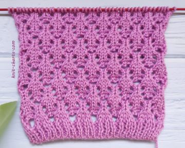 Lace Stitch Knitting Pattern