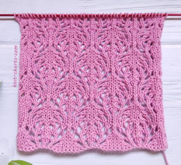 Lace Stitch Knitting Pattern