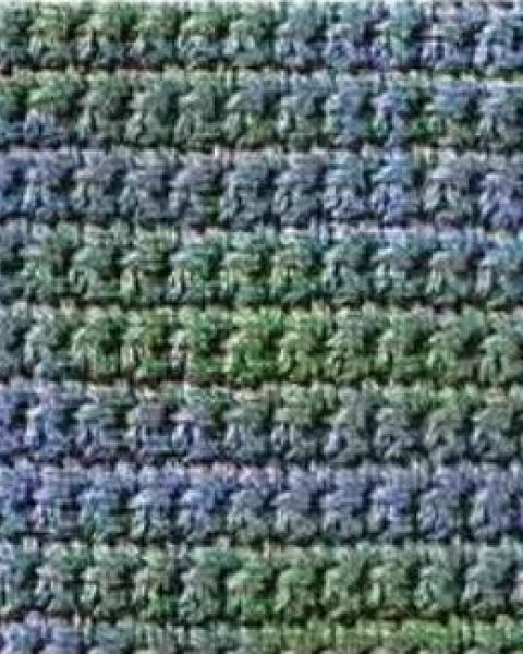 Basic Crochet Stitches