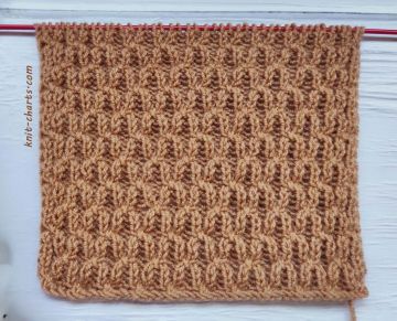Fancy Rib Stitch Knitting Pattern