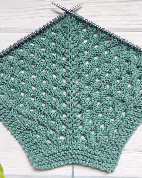 Eyelet Knit Stitch with Top Down Raglan